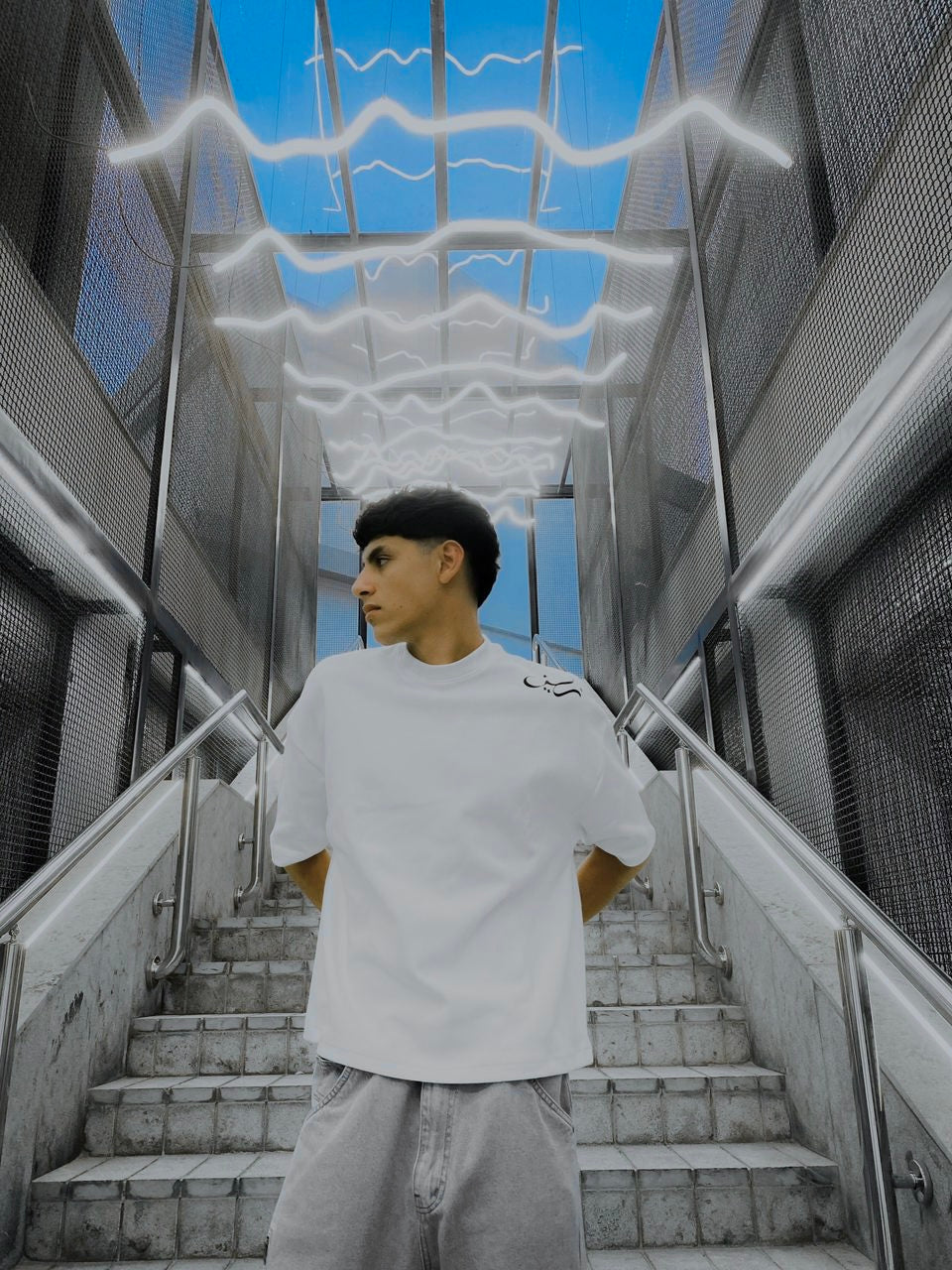 The fancy (boxfit shirt)